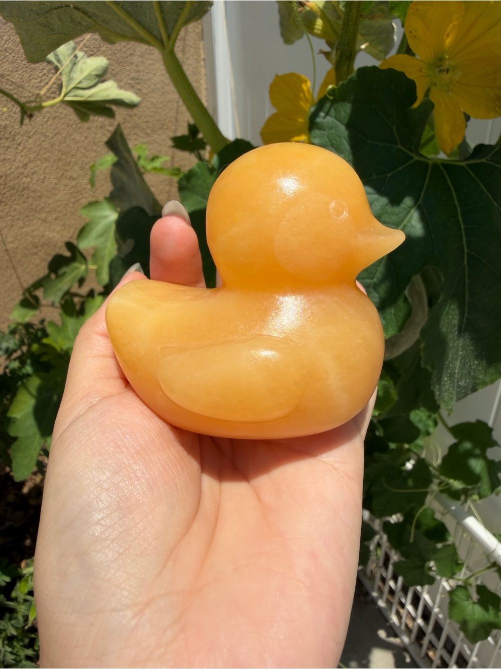 Large Yellow Calcite Duck Carving, 3 Inch Banded Yellow Calcite Duck,A616